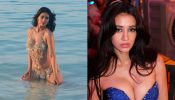 Disha Patani’s Glamorous Looks From Welcome to the Jungle Are Winning Hearts