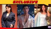 Exclusive: Adaa Khan and Pratik Sehajpal in Ishika Shahi's upcoming series 999347