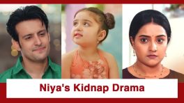 Lakshmi Niwas Upcoming Twist: Mahi gets Niya kidnapped; Will Veer and Radhika's wedding come to a halt?