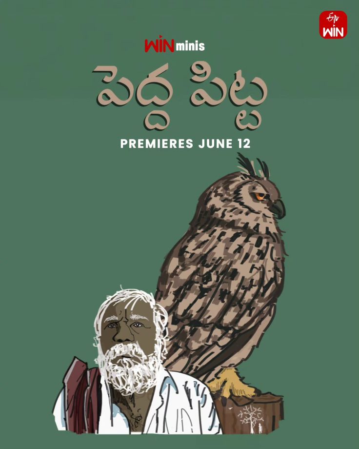 OTT & Theatrical Releases This Week (June 11–12): Fresh South, Hindi & English Content Arrives Across Platforms 999765