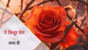 This Monsoon, Star Plus brings fresh Romance with Its Intense Love Saga ‘Fitoor’ 999840