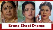 Vasudha Upcoming Twist: Vasudha succeeds in her challenge; Dadisa orders Chandrika to organise a brand shoot