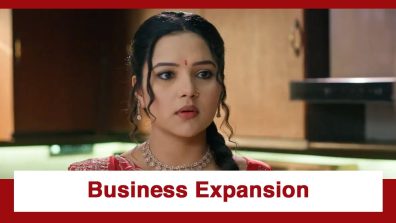 Vasudha Upcoming Twist: Vasudha’s desire to expand her business; Will she succeed?