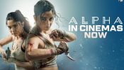 Alpha Box Office Collection: Alia Bhatt-Sharvari's Film Continues To Struggle On Day 10 1