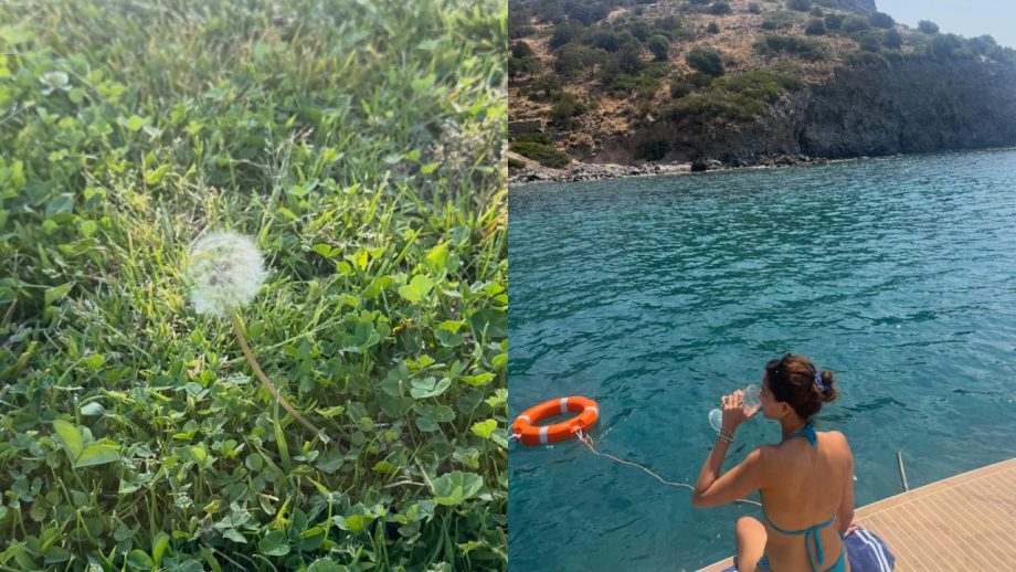 Ananya Panday Drops Dreamy Greece Photo Dump; Her Vacation Looks Steal the Spotlight 1