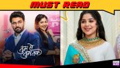 Anu Has Become a Part of Who I Am: Niharika Chouksey on Tumm Se Tumm Tak Completing One Successful Year