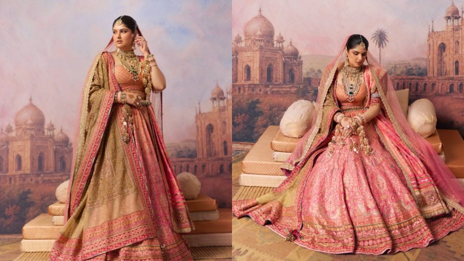 Every Detail of Anshula Kapoor's Cocktail and Bridal Looks Had a Story to Tell 1