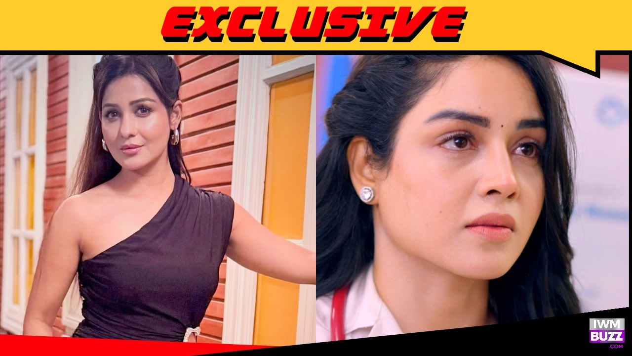 Exclusive: Chhavi Pandey to enter Sony SAB's Hui Gumm Yaadein; Srishti Singh to exit 1