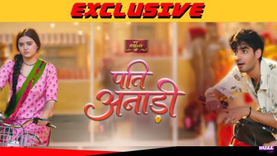 Exclusive: Dangal TV show Pati Anaadi to end on 25 July