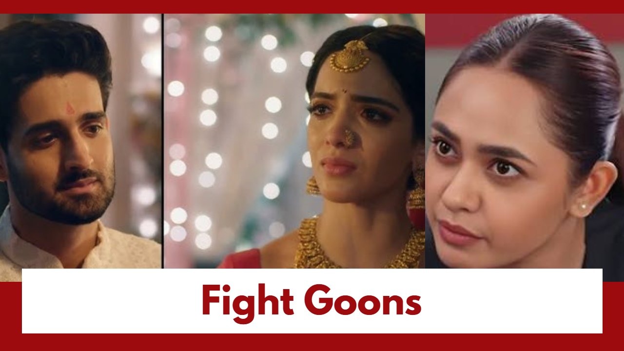 Jagadhatri Upcoming Twist: Jagadhatri, Jhanvee and Shivay fight the goons; Read details here 1