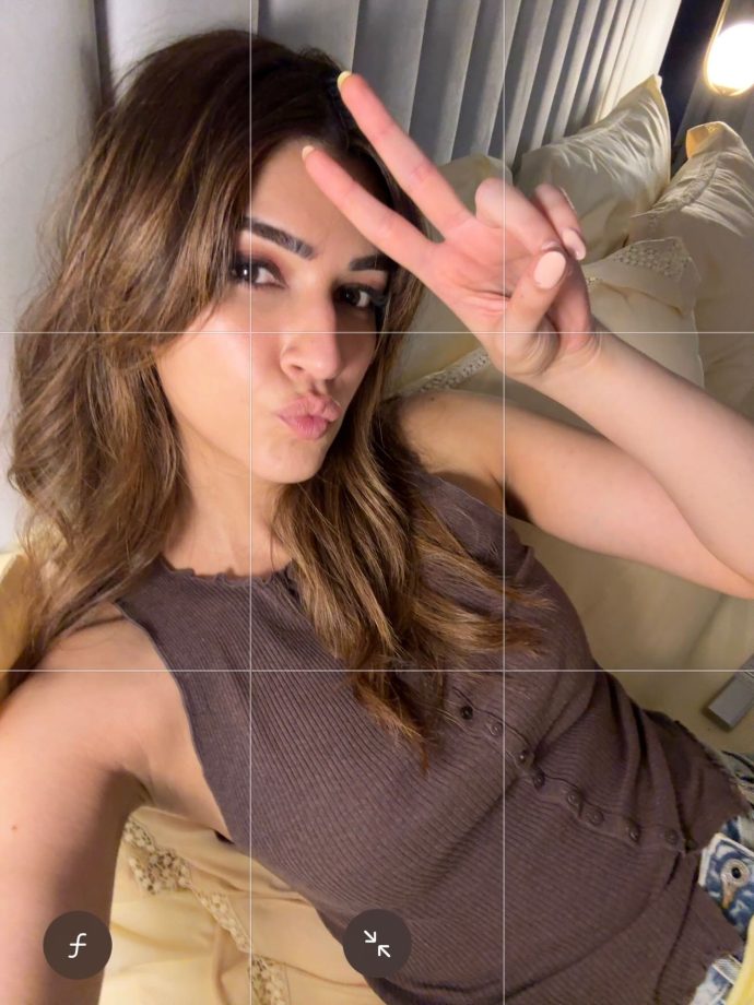 Kriti Sanon Gives Fans a Glimpse Into Her Personal Life With a Heartwarming ‘Half Yearly Dump’ 1
