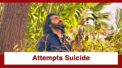 Lakshmi Niwas Upcoming Twist: OMG!! Varun attempts suicide; Read for all details