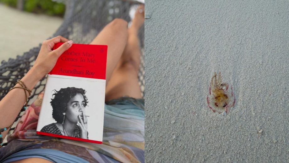 Malavika Mohanan Turns Island Girl With Beach Looks, Turtle Encounters & Sunset Views 1
