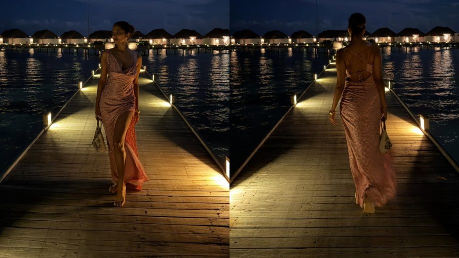 Malavika Mohanan Turns Island Girl With Beach Looks, Turtle Encounters & Sunset Views 1