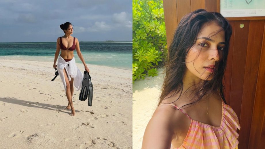 Malavika Mohanan Turns Island Girl With Beach Looks, Turtle Encounters & Sunset Views 1