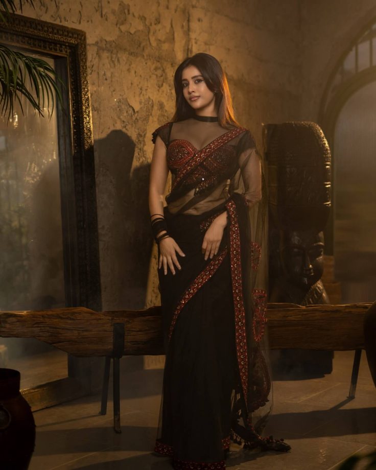 Nabha Natesh Sets Saree Fashion Goals in a Stunning Black and Red Embellished Drape 1