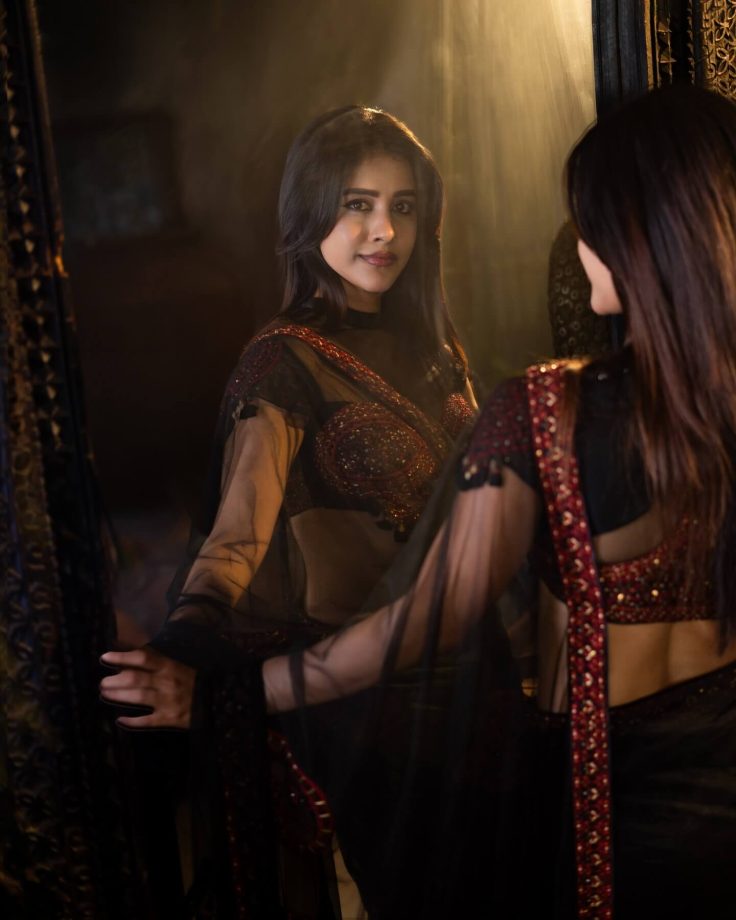 Nabha Natesh Sets Saree Fashion Goals in a Stunning Black and Red Embellished Drape 1