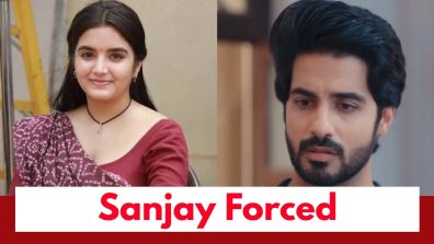 Tu Hi Re Dil Mein Upcoming Twist: Sanjay’s entry to Vrinda’s wedding venue changes his fate; gets forced to marry Vrinda