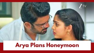 Tumm Se Tumm Tak Upcoming Twist: Arya plans a honeymoon in Switzerland; Anu troubled by haunting questions