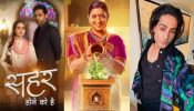 TV News: Seher Hone Ko Hai BTS, Kyunki Saas Bhi Kabhi Bahu Thi Completes 26 Years To A Tree Falling On Naagin 7 Fame Kshitij Dholakia's Car