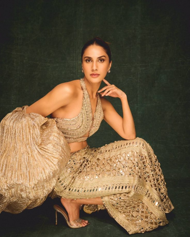 Vaani Kapoor's Designer Blouse Styles Elevate Every Lehenga 1