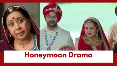 Vasudha Upcoming Twist: Dadisa plans Dev-Vasudha’s honeymoon; Drama  intensifies