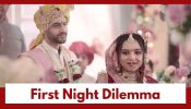 Vasudha Upcoming Twist: OMG!! Vasudha’s ‘first night’ dilemma; How does she handle it?