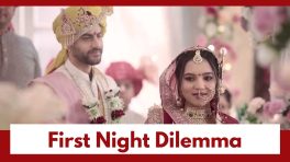 Vasudha Upcoming Twist: OMG!! Vasudha's 'first night' dilemma; How does she handle it?