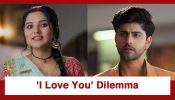 Vasudha Upcoming Twist: Vasudha's 'I Love You' dilemma; How will she succeed?