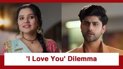 Vasudha Upcoming Twist: Vasudha’s ‘I Love You’ dilemma; How will she succeed?
