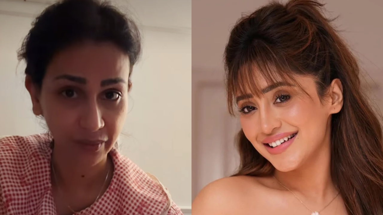 Aanchal Khurana Makes Explosive Claims About Shivangi Joshi's 'Private Boyfriend', Recalls Her Warning 1