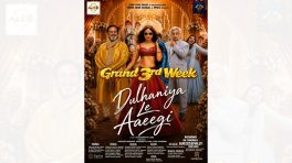 Desi content wins! Akashaditya Lama's Dulhaniya Le Aaeegi marches into a grand third week in cinemas despite Spiderman and Odyssey frenzy