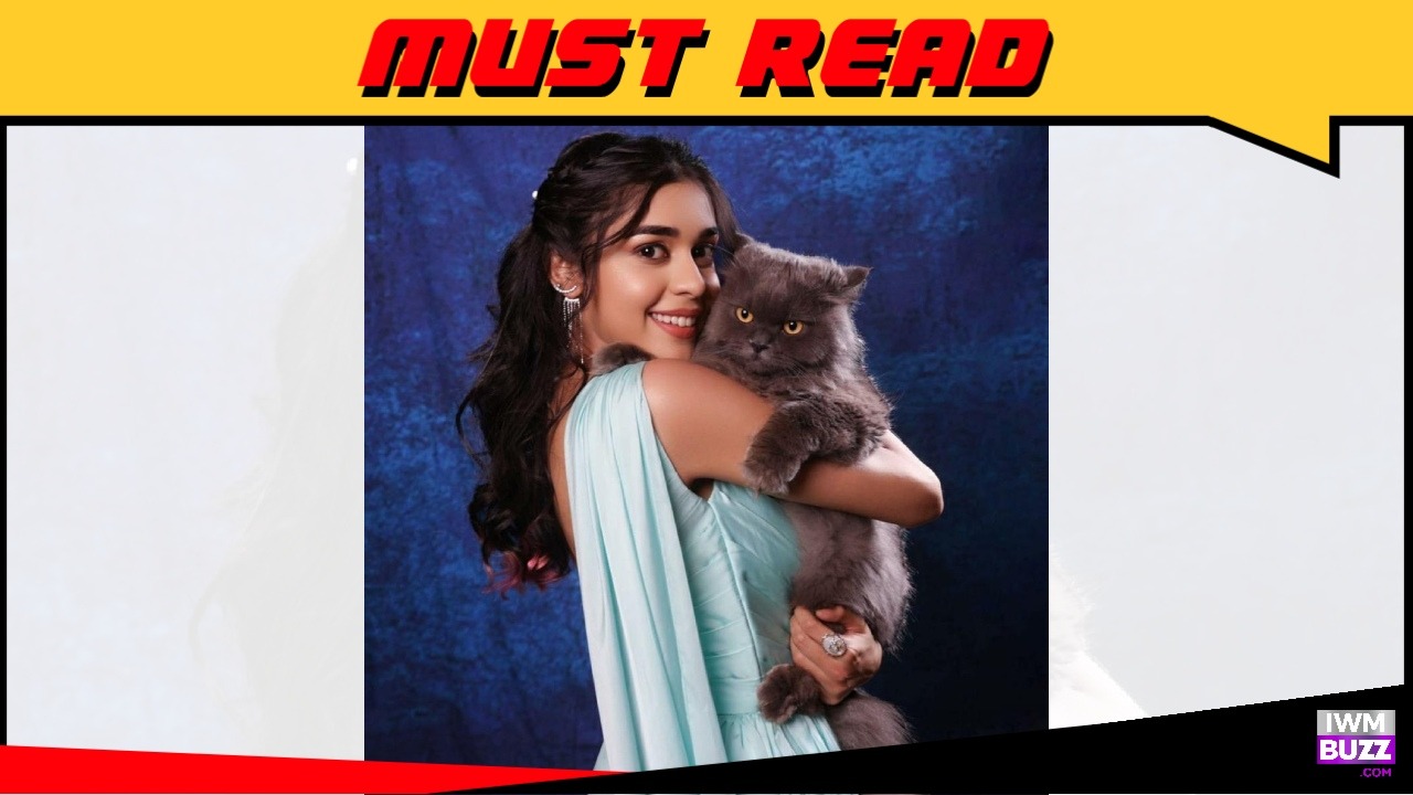 Eisha Singh on International Cat Day: My cats are not just pets; they are family 1
