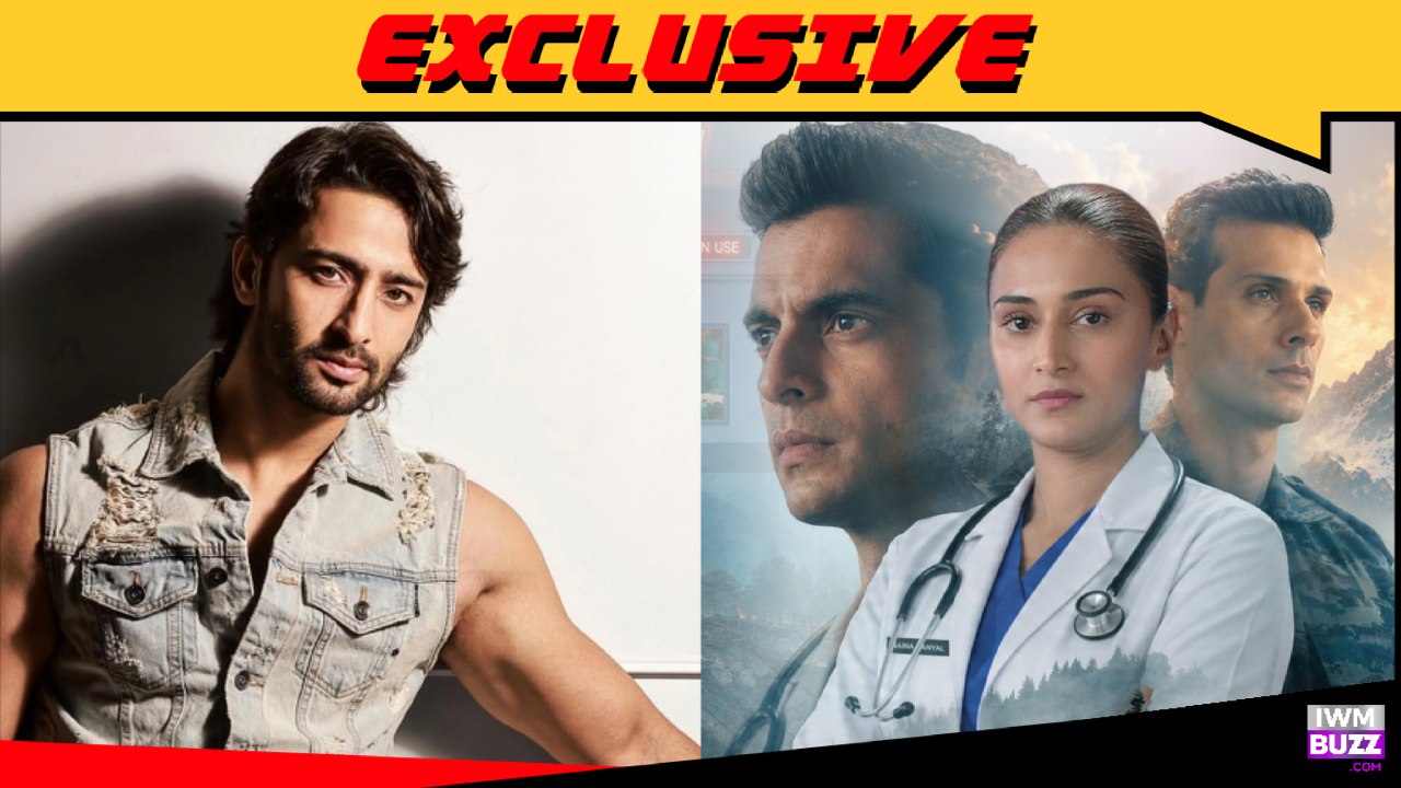 Exclusive: Shaheer Sheikh and Erica Fernandes REUNITED; Shaheer to have a special appearance in Colors TV's 108 Base Hospital URI 1