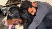 Jr NTR Shares First Picture After Surgery, Mourns Beloved Dog Bagheera's Demise 1