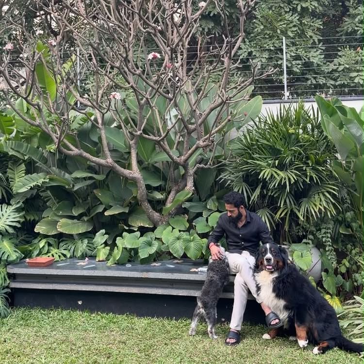 Jr NTR Shares First Picture After Surgery, Mourns Beloved Dog Bagheera's Demise 1