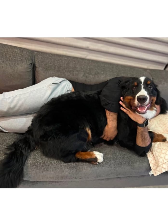 Jr NTR Shares First Picture After Surgery, Mourns Beloved Dog Bagheera's Demise 1