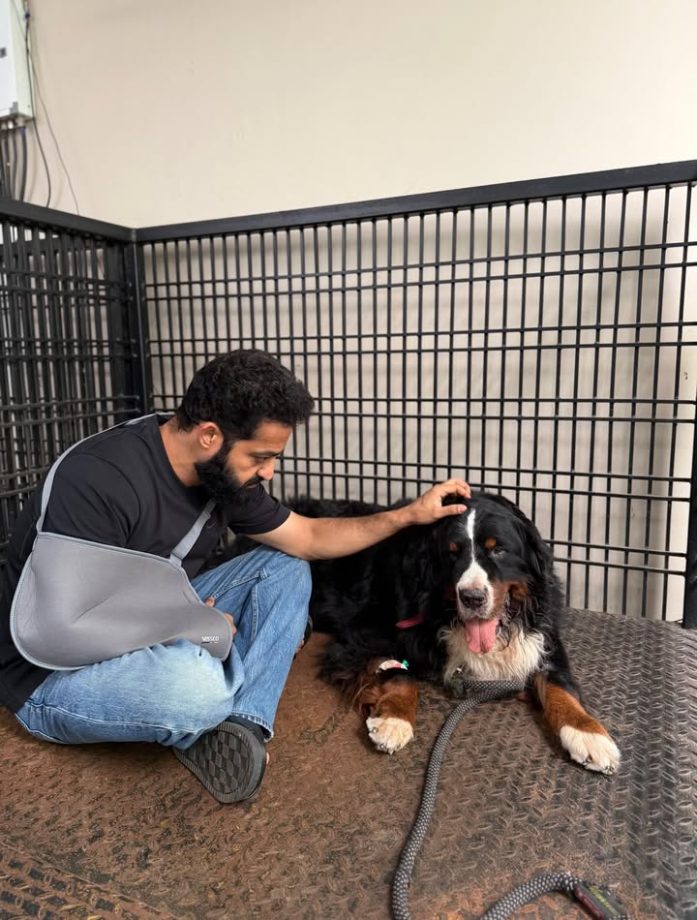 Jr NTR Shares First Picture After Surgery, Mourns Beloved Dog Bagheera's Demise 1