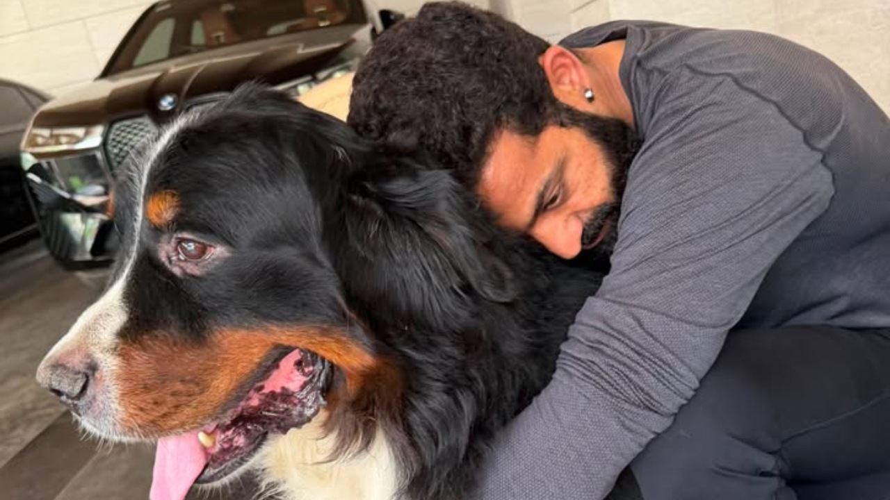 Jr NTR Shares First Picture After Surgery, Mourns Beloved Dog Bagheera's Demise 1