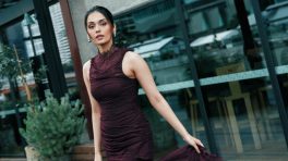 Manushi Chhillar Burgundy Frill Lace Gown, High Neck, Sleeveless Cut, Figure-Flattering Fit