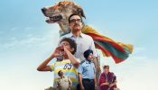 Ohh My Dog Box Office Collection Day 1: Amit Rai-Directed Opens On A Decent Note 1
