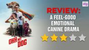 Ohh My Dog Review: A Feel-Good Emotional Canine Drama