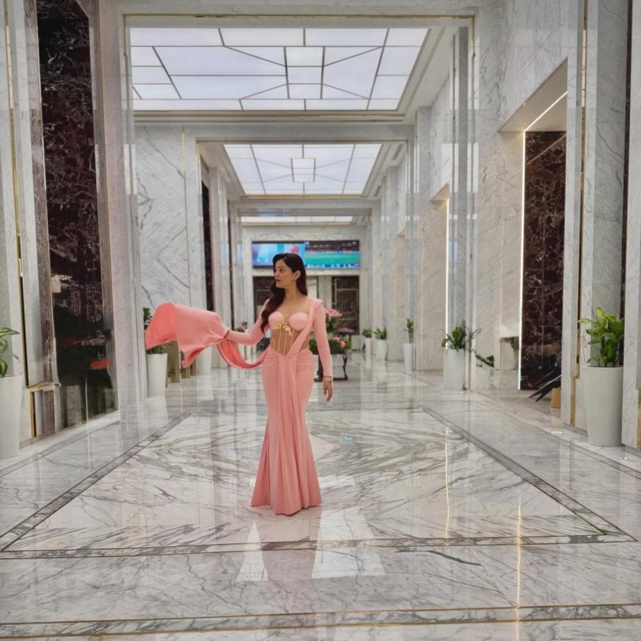Rubina Dilaik Stuns Pink Gown, Shimmer Corset Glam 1