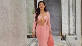 Rubina Dilaik Stuns Pink Gown, Shimmer Corset Glam