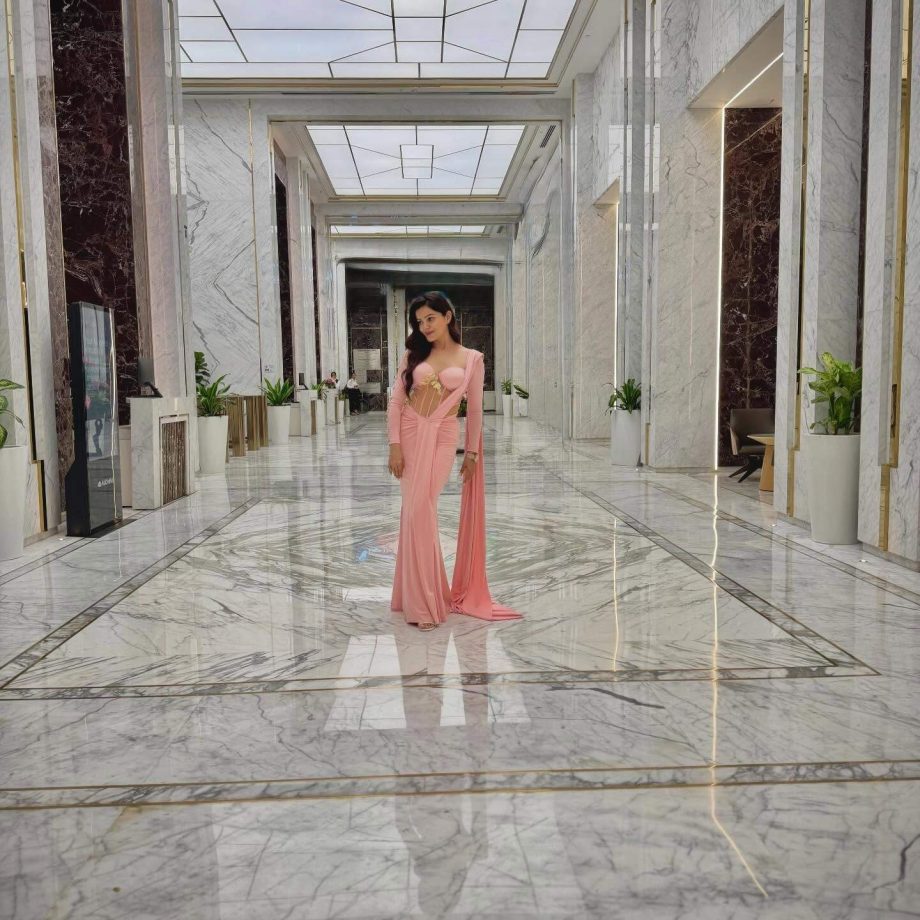Rubina Dilaik Stuns Pink Gown, Shimmer Corset Glam 1