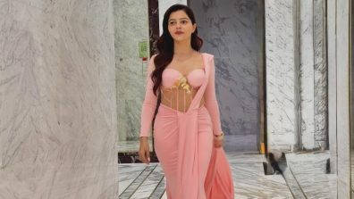 Rubina Dilaik Stuns Pink Gown, Shimmer Corset Glam