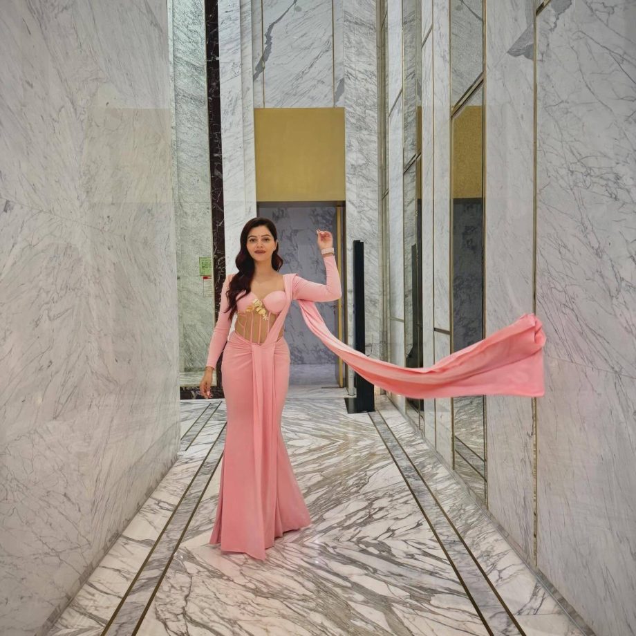 Rubina Dilaik Stuns Pink Gown, Shimmer Corset Glam 1