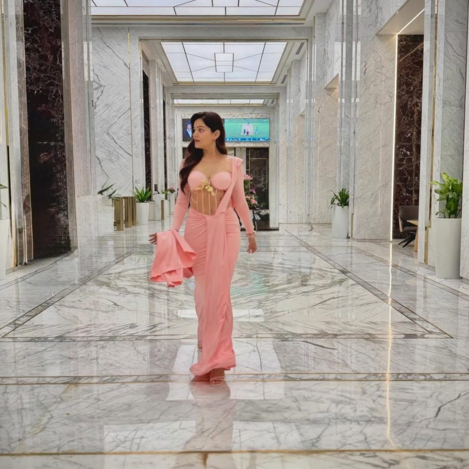 Rubina Dilaik Stuns Pink Gown, Shimmer Corset Glam 1