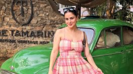Shraddha Arya Turns 39, Mom-To-Twins, Gaurav Khanna New Show Excites Fans