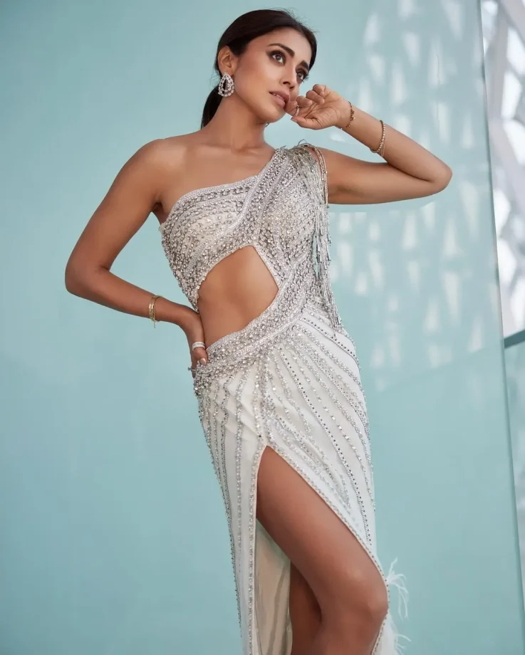 Shriya Saran White Crystal Gown, High Slit, Front Cutout 1